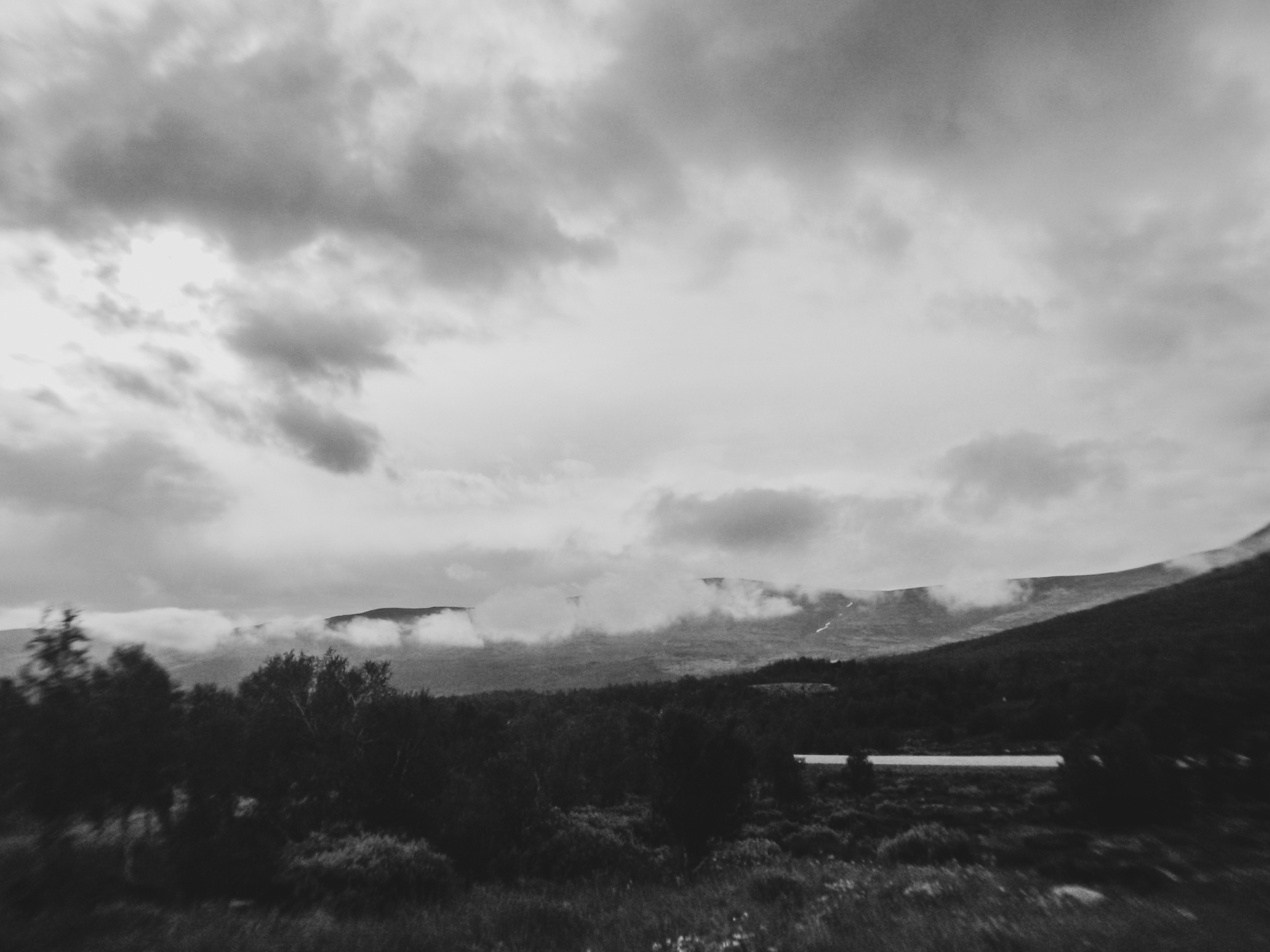 03_Since I Can Remember_Danilo Garcia Di Meo_246